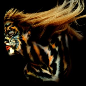 Bobbi Cat 1