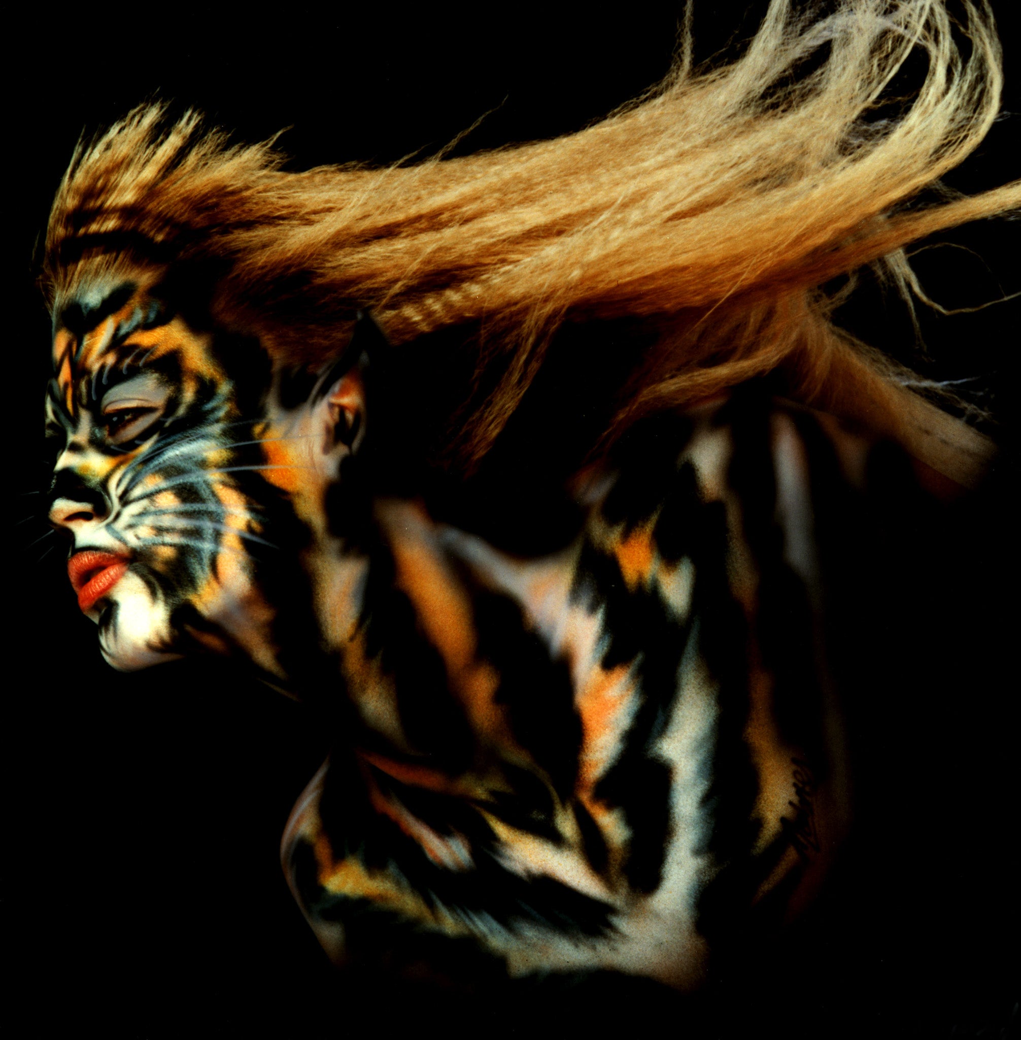 Bobbi Cat 1