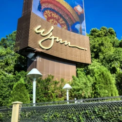 Vizient Wynn Las Vegas Vizient Wynn Las Vegas — 190919-VIZI-Las Vegas, NV