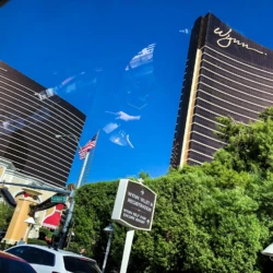 Vizient Wynn Las Vegas Vizient Wynn Las Vegas — 190919-VIZI-Las Vegas, NV