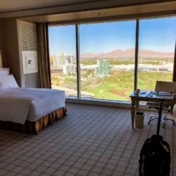 Vizient Wynn Las Vegas Vizient Wynn Las Vegas — 190919-VIZI-Las Vegas, NV