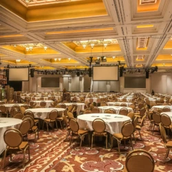 Vizient Wynn Las Vegas Vizient Wynn Las Vegas — 190919-VIZI-Las Vegas, NV