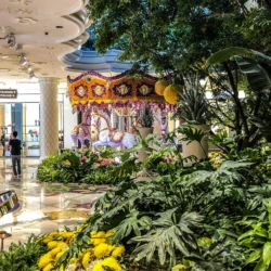 Vizient Wynn Las Vegas Vizient Wynn Las Vegas — 190919-VIZI-Las Vegas, NV