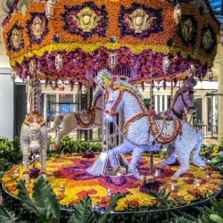 Vizient Wynn Las Vegas Vizient Wynn Las Vegas — 190919-VIZI-Las Vegas, NV