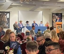 Guests at tables during the Guardians Gala program