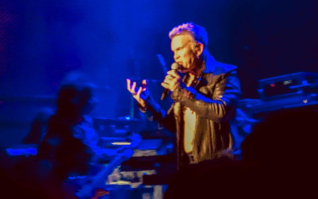 IF & Billy Idol San Francisco